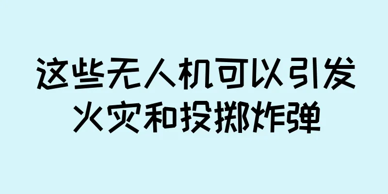这些无人机可以引发火灾和投掷炸弹