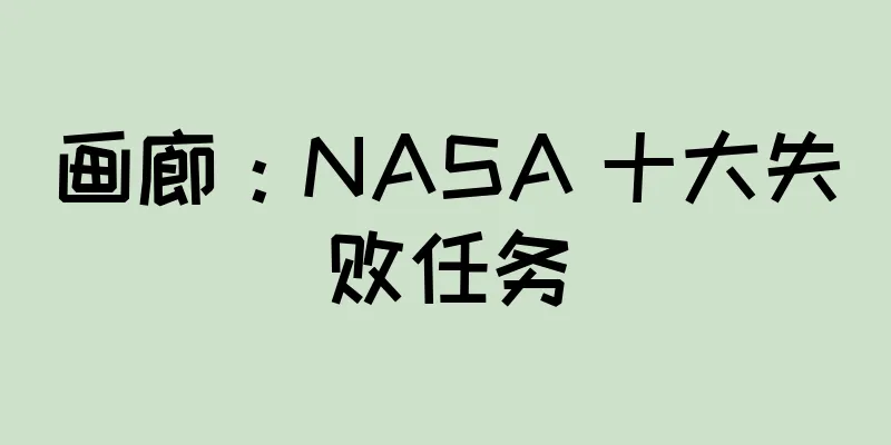 画廊：NASA 十大失败任务