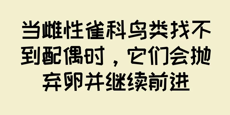 当雌性雀科鸟类找不到配偶时，它们会抛弃卵并继续前进