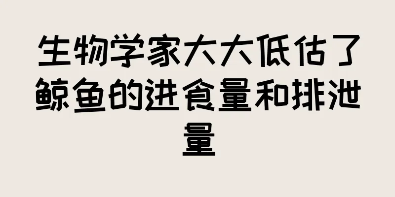 生物学家大大低估了鲸鱼的进食量和排泄量