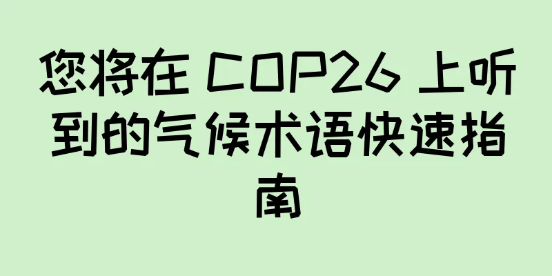 您将在 COP26 上听到的气候术语快速指南