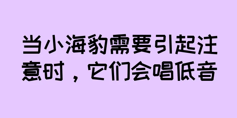 当小海豹需要引起注意时，它们会唱低音