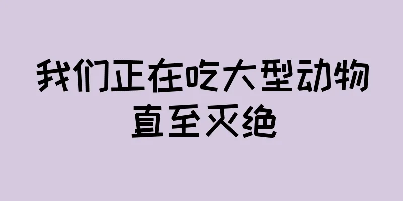 我们正在吃大型动物直至灭绝