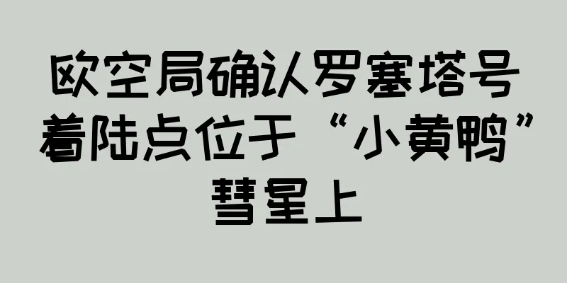 欧空局确认罗塞塔号着陆点位于“小黄鸭”彗星上