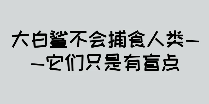 大白鲨不会捕食人类——它们只是有盲点
