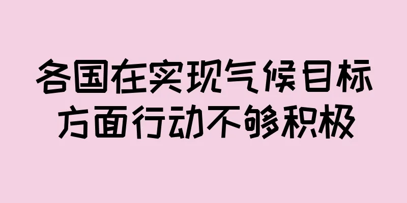 各国在实现气候目标方面行动不够积极