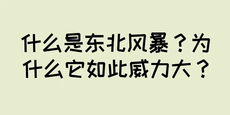 什么是东北风暴？为什么它如此威力大？