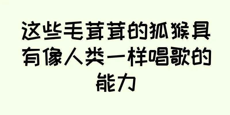 这些毛茸茸的狐猴具有像人类一样唱歌的能力