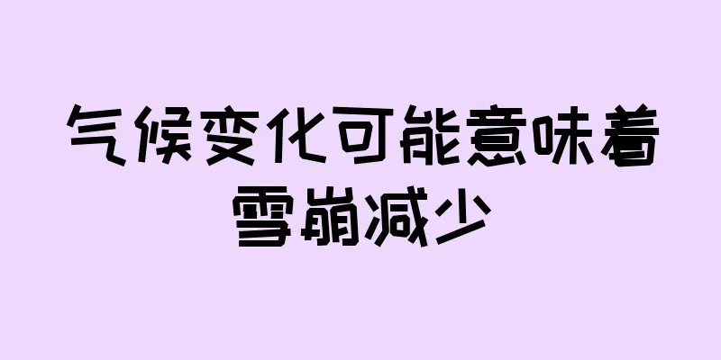 气候变化可能意味着雪崩减少