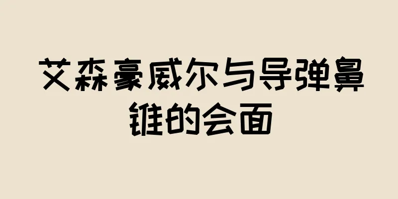 艾森豪威尔与导弹鼻锥的会面