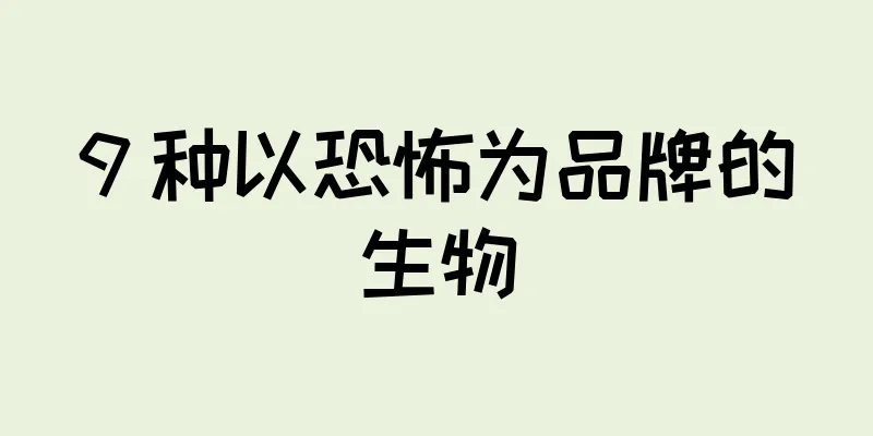 9 种以恐怖为品牌的生物