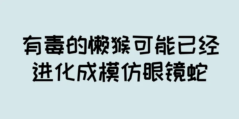有毒的懒猴可能已经进化成模仿眼镜蛇