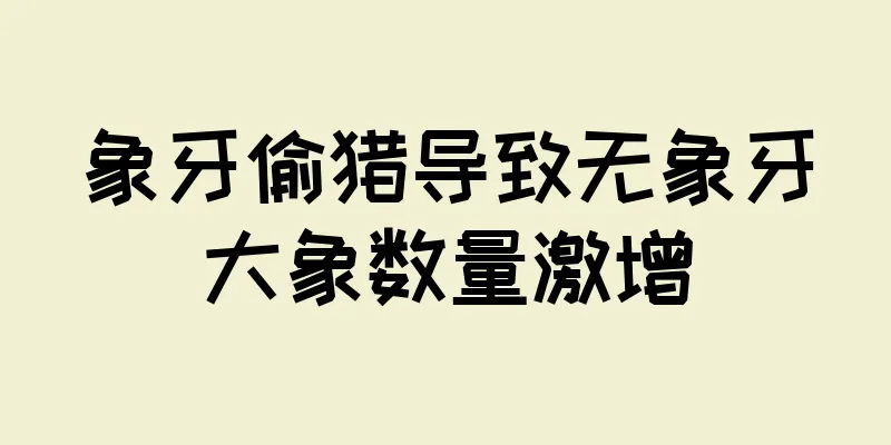 象牙偷猎导致无象牙大象数量激增