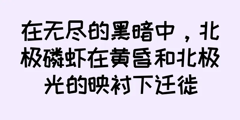 在无尽的黑暗中，北极磷虾在黄昏和北极光的映衬下迁徙