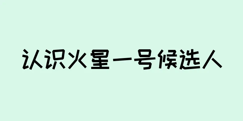 认识火星一号候选人