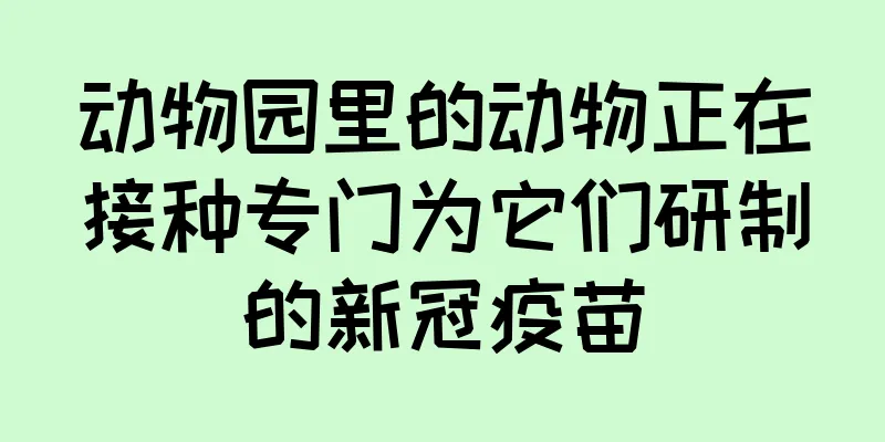 动物园里的动物正在接种专门为它们研制的新冠疫苗
