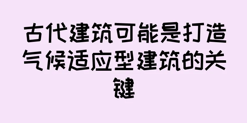 古代建筑可能是打造气候适应型建筑的关键