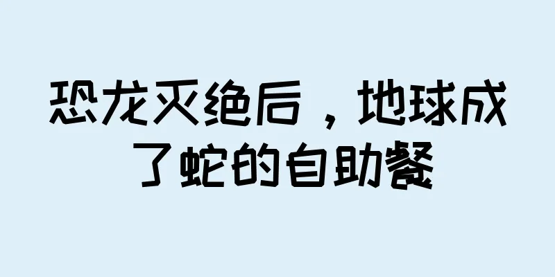 恐龙灭绝后，地球成了蛇的自助餐
