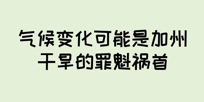 气候变化可能是加州干旱的罪魁祸首