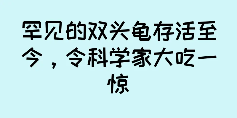 罕见的双头龟存活至今，令科学家大吃一惊