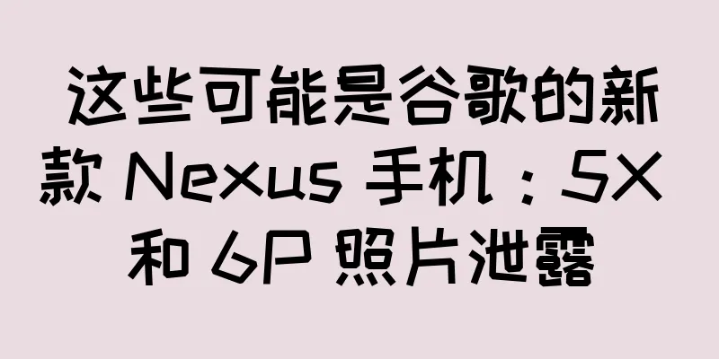 这些可能是谷歌的新款 Nexus 手机：5X 和 6P 照片泄露