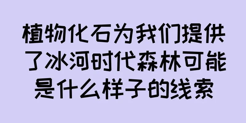 植物化石为我们提供了冰河时代森林可能是什么样子的线索