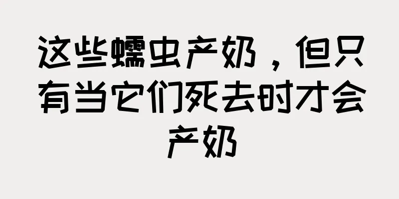 这些蠕虫产奶，但只有当它们死去时才会产奶