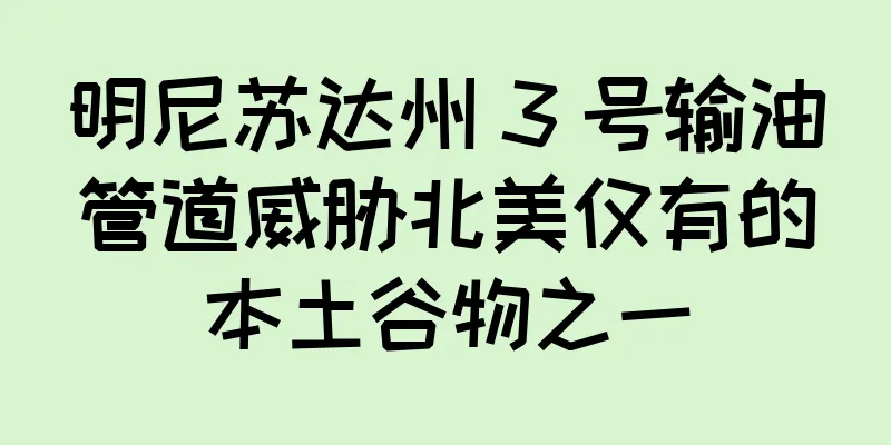 明尼苏达州 3 号输油管道威胁北美仅有的本土谷物之一