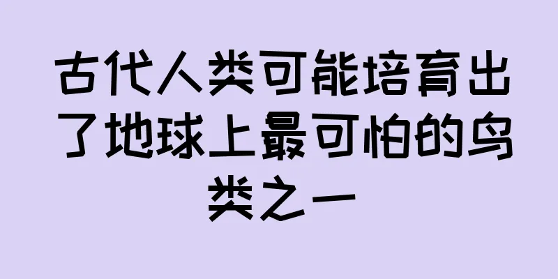古代人类可能培育出了地球上最可怕的鸟类之一