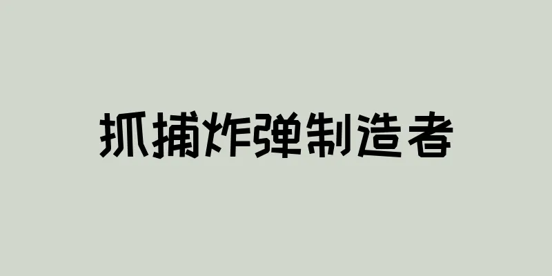 抓捕炸弹制造者