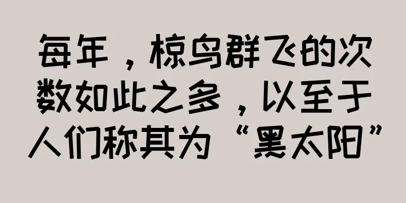 每年，椋鸟群飞的次数如此之多，以至于人们称其为“黑太阳”