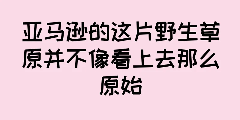 亚马逊的这片野生草原并不像看上去那么原始