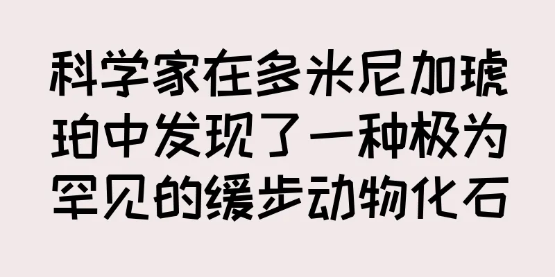 科学家在多米尼加琥珀中发现了一种极为罕见的缓步动物化石