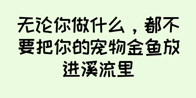 无论你做什么，都不要把你的宠物金鱼放进溪流里