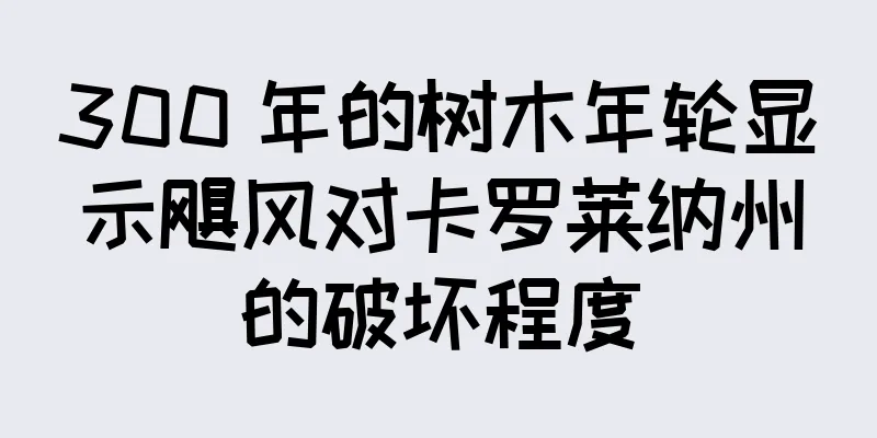 300 年的树木年轮显示飓风对卡罗莱纳州的破坏程度