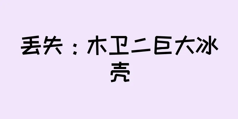 丢失：木卫二巨大冰壳