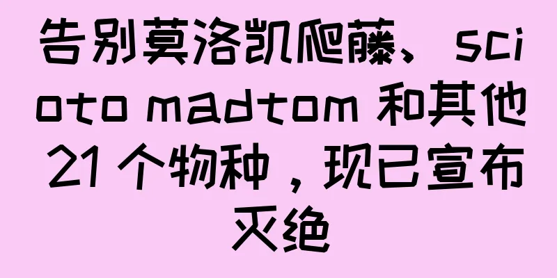 告别莫洛凯爬藤、scioto madtom 和其他 21 个物种，现已宣布灭绝