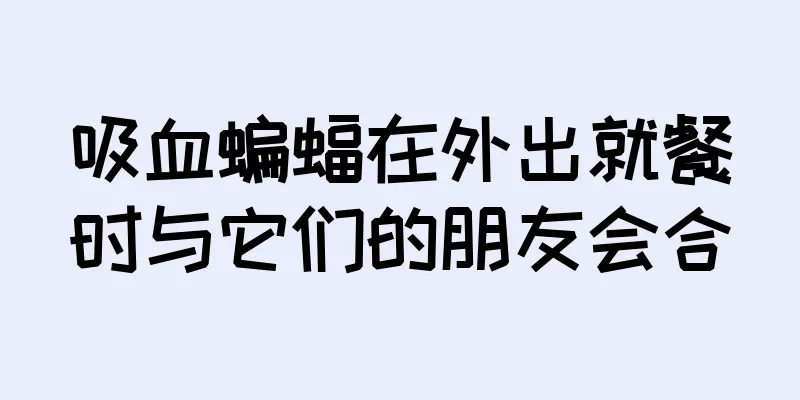 吸血蝙蝠在外出就餐时与它们的朋友会合