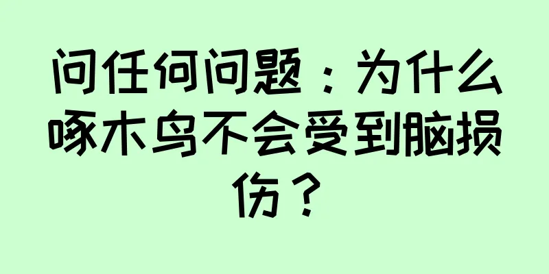 问任何问题：为什么啄木鸟不会受到脑损伤？