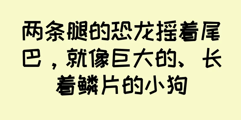 两条腿的恐龙摇着尾巴，就像巨大的、长着鳞片的小狗