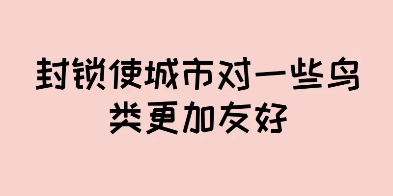 封锁使城市对一些鸟类更加友好