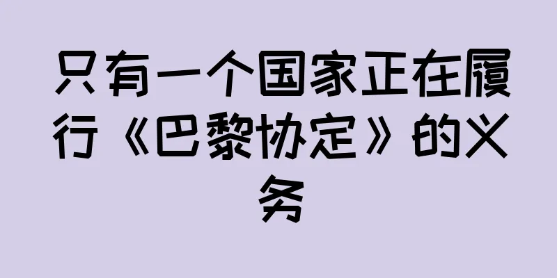 只有一个国家正在履行《巴黎协定》的义务