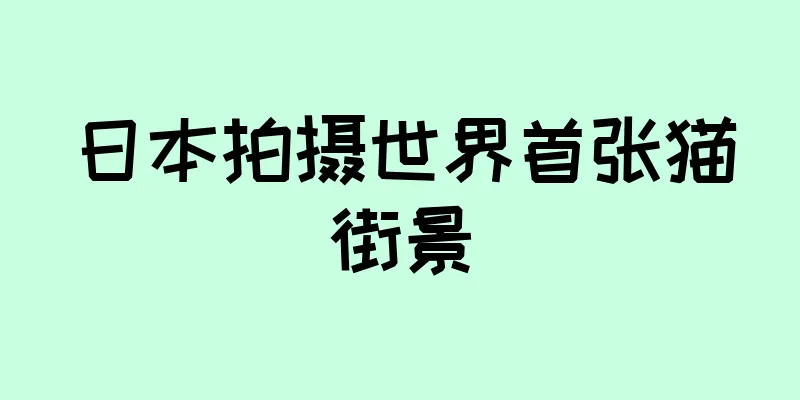日本拍摄世界首张猫街景