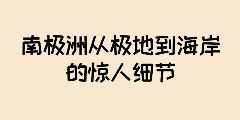 南极洲从极地到海岸的惊人细节