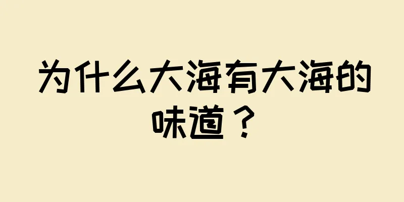 为什么大海有大海的味道？