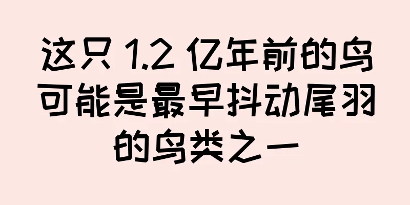 这只 1.2 亿年前的鸟可能是最早抖动尾羽的鸟类之一