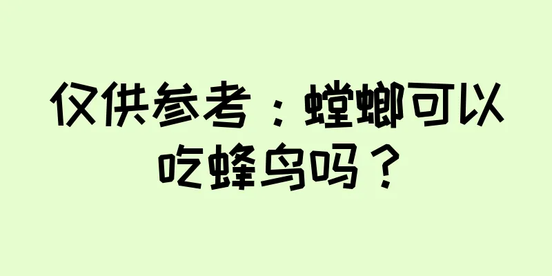 仅供参考：螳螂可以吃蜂鸟吗？