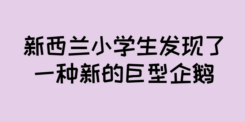 新西兰小学生发现了一种新的巨型企鹅