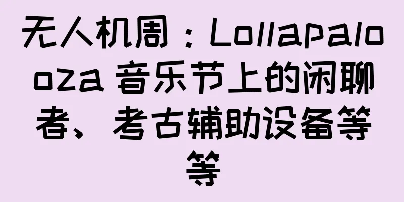 无人机周：Lollapalooza 音乐节上的闲聊者、考古辅助设备等等