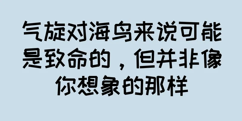 气旋对海鸟来说可能是致命的，但并非像你想象的那样